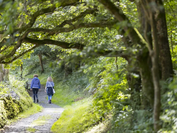 Cottage (Dog Friendly) in Kipscombe, North Devon